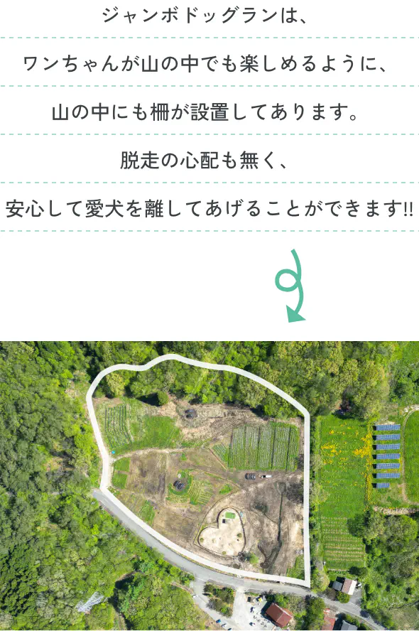 ジャンボドッグランは、山の中にも柵が設置してあります。脱走の心配も無く、安心して愛犬を離してあげることができます!!