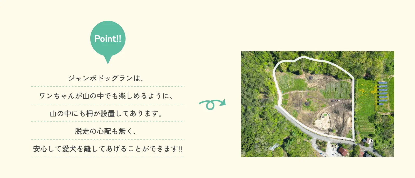 ジャンボドッグランは、山の中にも柵が設置してあります。脱走の心配も無く、安心して愛犬を離してあげることができます!!